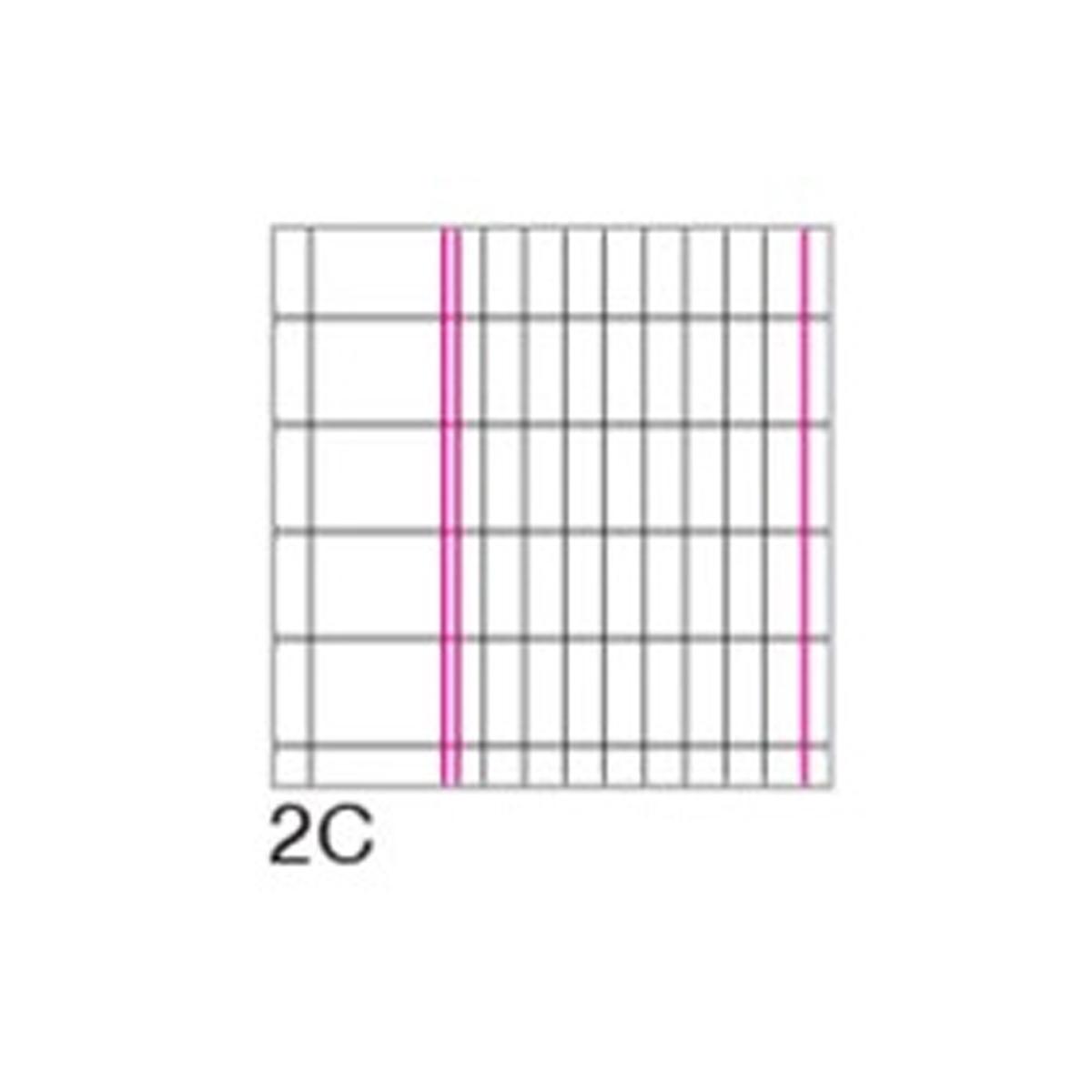 Maxi quaderno color basic 2colonne