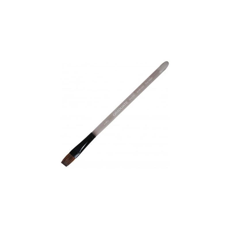 Dal graduate pennello pony mc piatto lavis 1/2