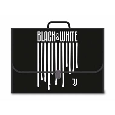 Polionda  juventus  40x28x8