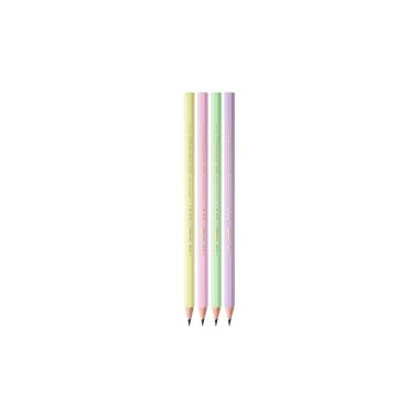 Matita evolution pastel | bic