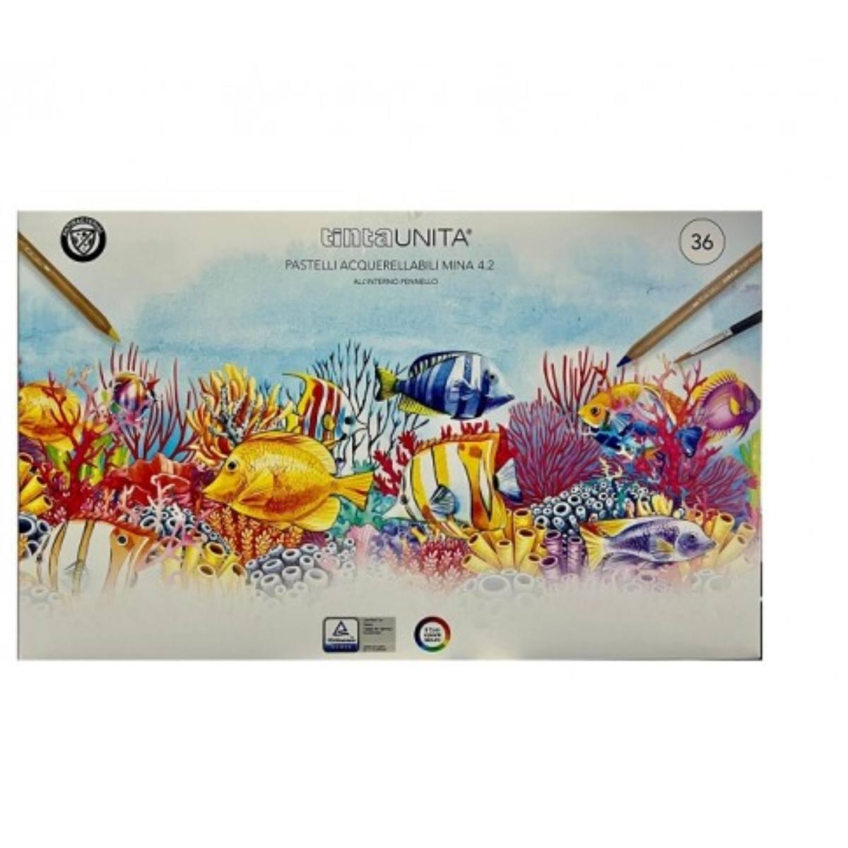 Pastelli Acquerellabili Tinta Unita 36 colori a matita