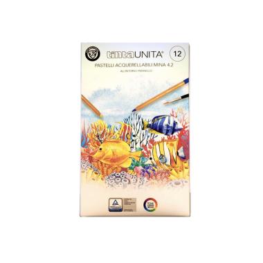 Pastelli acquerellabili da 12 pezzi mina 4,2 tinta unita